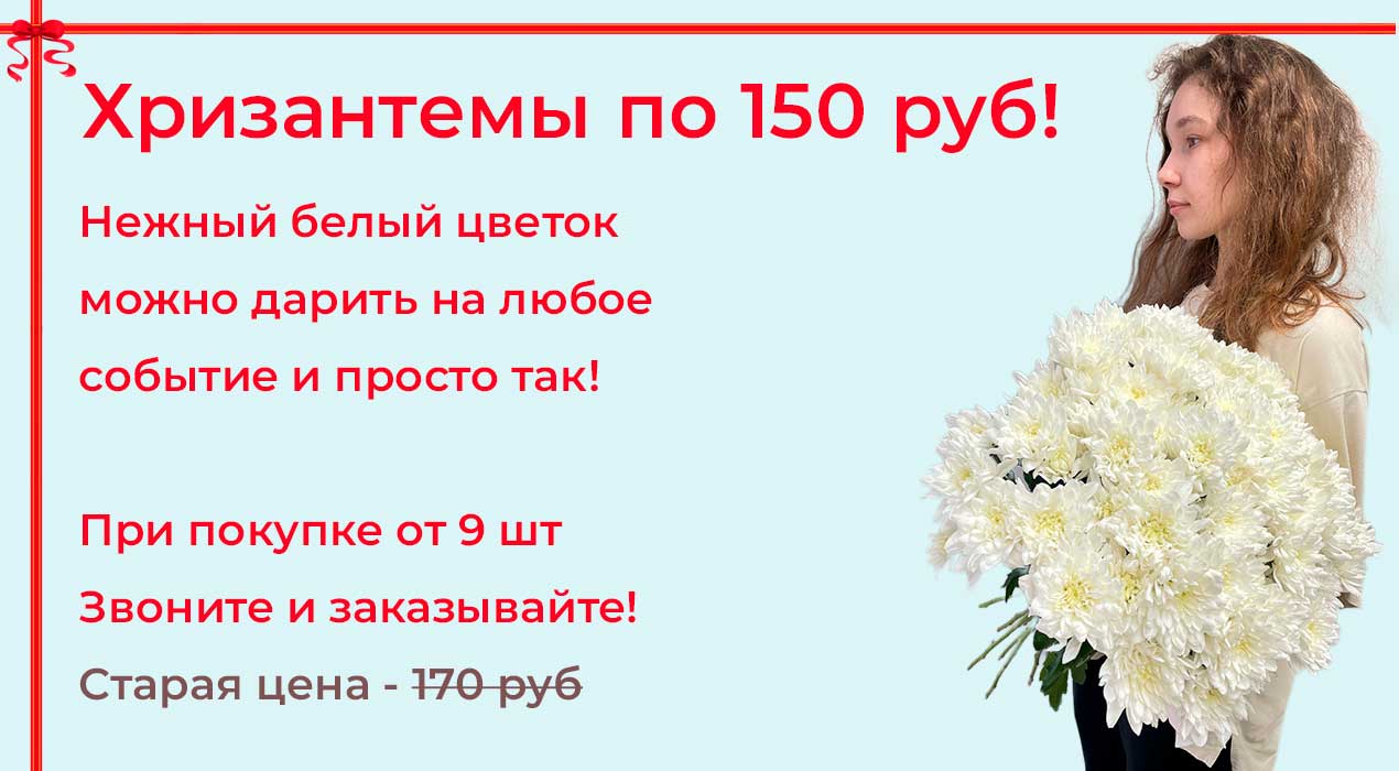 Хризантемы по 115 руб!