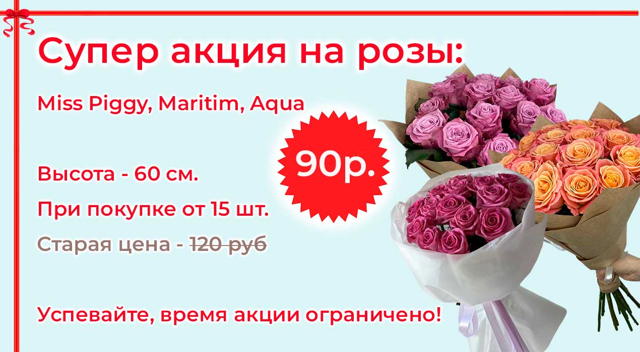 Супер акция на розы Miss Piggy, Maritim, Aqua!