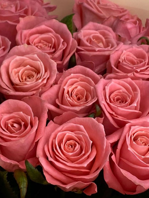 Букет «21 Роза Anna Karina (60 см)»