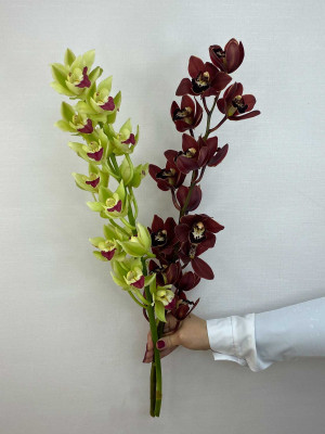 Цветы поштучно: Орхидея цимбидиум