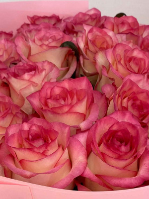 Букет «25 роз Jumilia в цветном оформлении»
