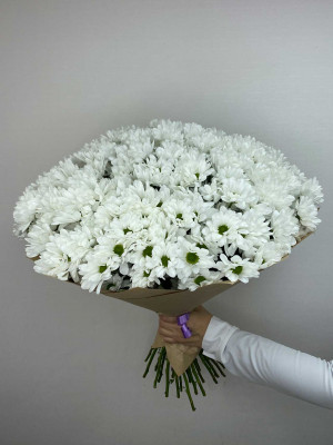 Букет «Хризантемы кустовые белые 35 шт»