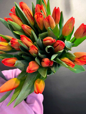 Цветы поштучно: Тюльпан