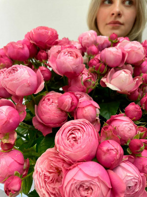 Цветы поштучно: Роза кустовая пионовидная «Silva Pink»