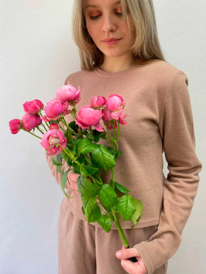 Цветы поштучно: Роза кустовая пионовидная «Silva Pink»