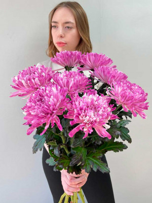 Цветы поштучно: Хризантема Антонов крашеный фиолетовый