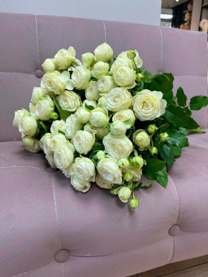 Цветы поштучно: Роза кустовая пионовидная «Snow World»