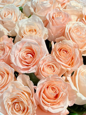 Букет «Роза «Саида» 25 шт» в оформлении