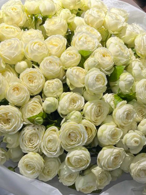 Букет «Сноу L»