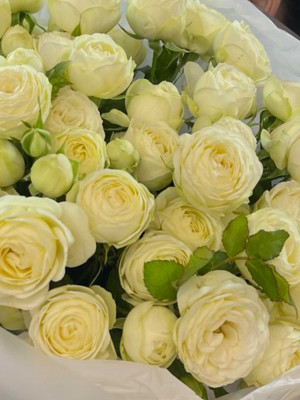 Букет «Сноу S»