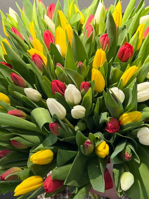 Букет «101 тюльпан под ленту»