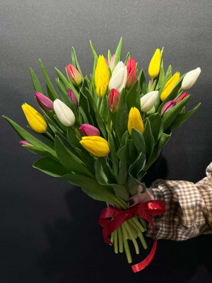 Букет «25 тюльпанов под ленту»