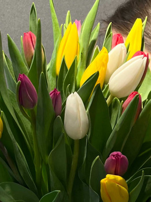 Букет «25 тюльпанов под ленту»