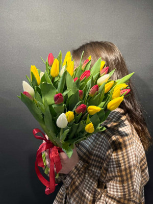 Букет «35 тюльпанов под ленту»