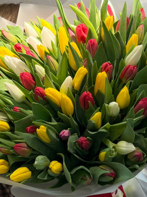 Букет «101 тюльпан в оформлении»