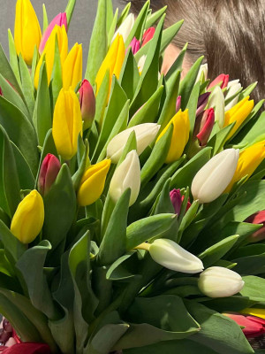 Букет «51 тюльпан под ленту»