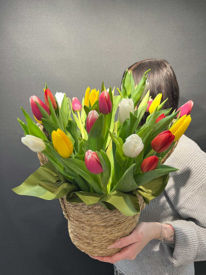 Букет «25 тюльпанов в корзине»