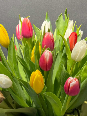 Букет «35 тюльпанов в корзине»