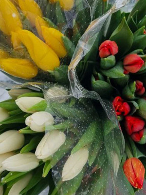 Букет «Тюльпаны МИКС 25 шт. в упаковке»