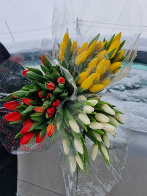 Букет «Тюльпаны МИКС 25 шт. в упаковке»