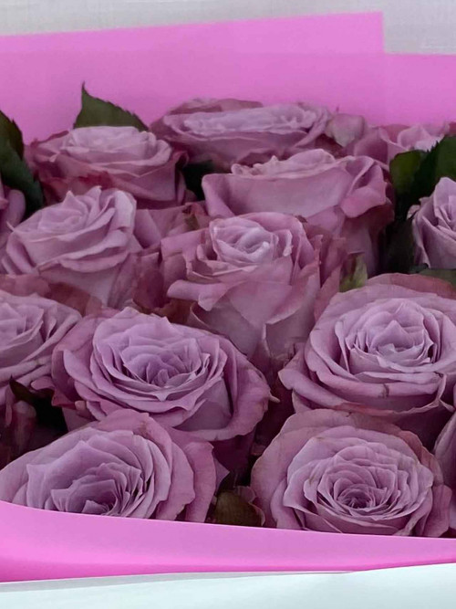 Букет «25 роз Maritim в цветном оформлении»