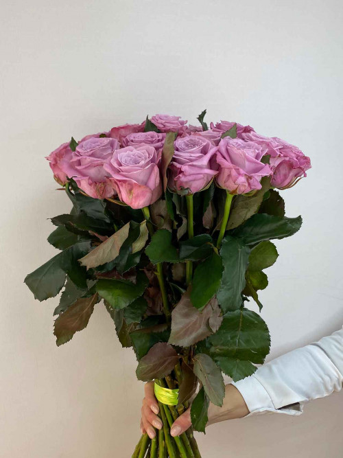 Букет «25 роз Maritim»