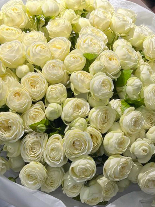 Букет «Сноу L»