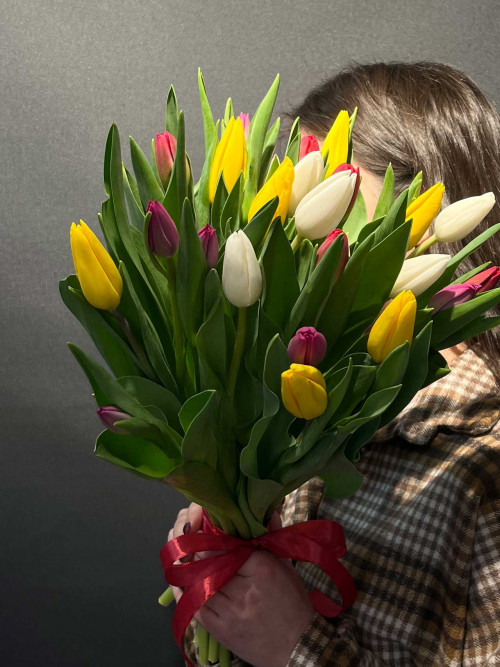 Букет «25 тюльпанов под ленту»