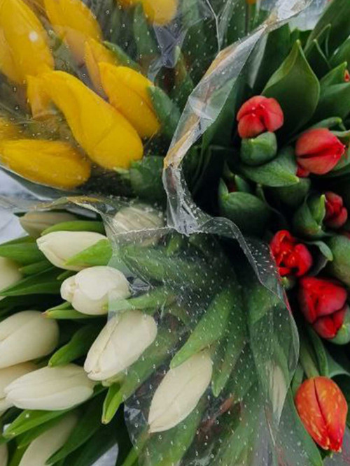 Букет «Тюльпаны МИКС 25 шт. в упаковке»