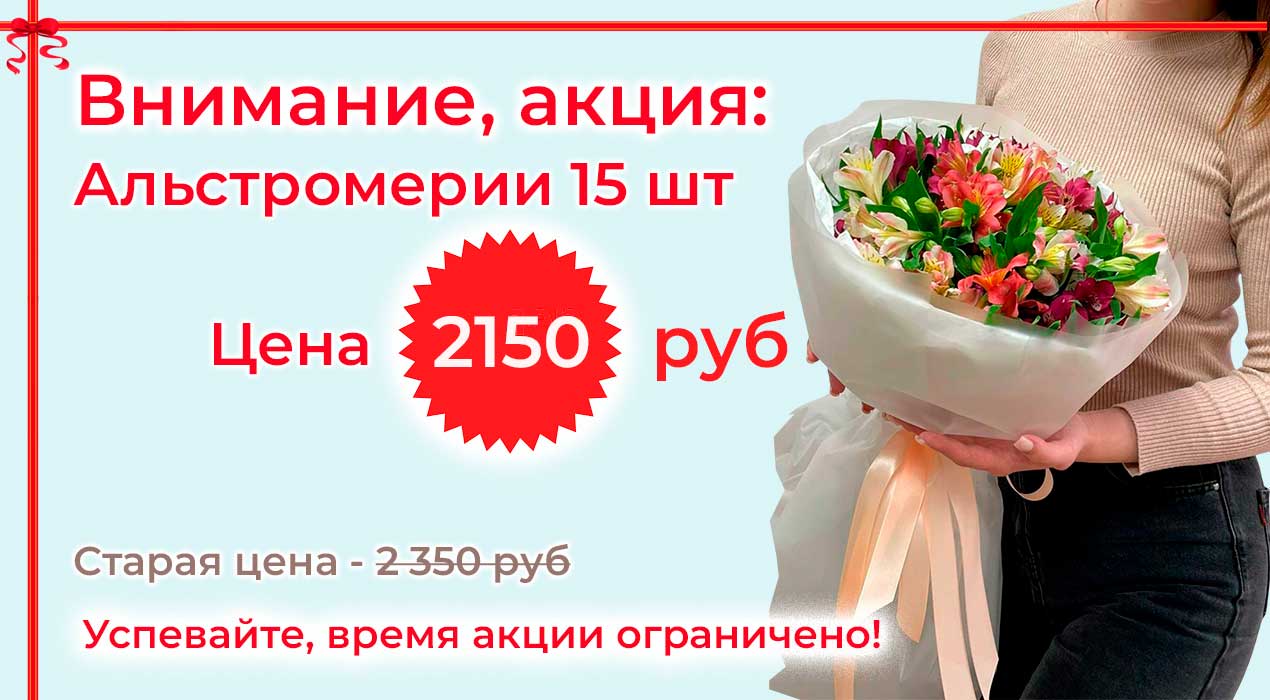 Акция 26 Альстромерия 15 шт
