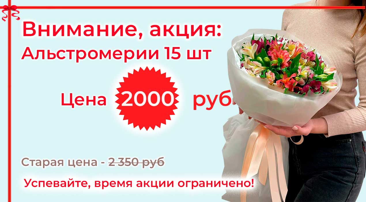 Акция 26 Альстромерия 15 шт