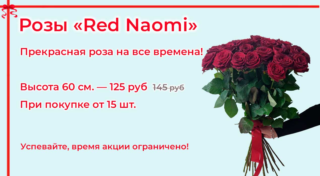 Акция 38 Розы Red Naomi от 15 шт