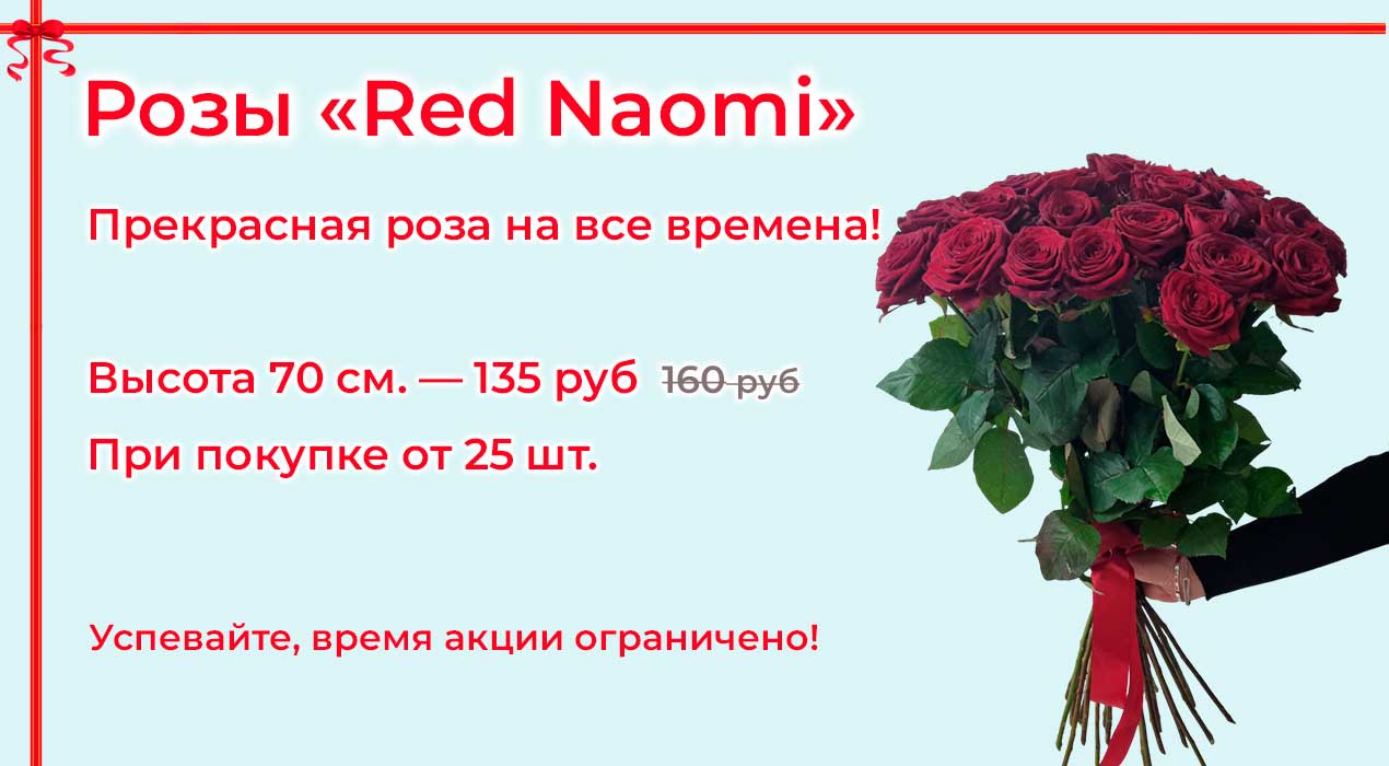Акция 38 Розы Red Naomi от 15 шт
