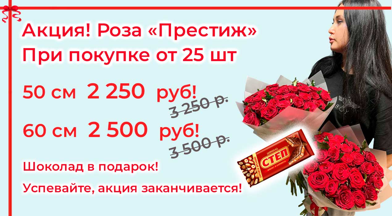Акция 55 Роза Престиж 25 шт и шоколад в подарок