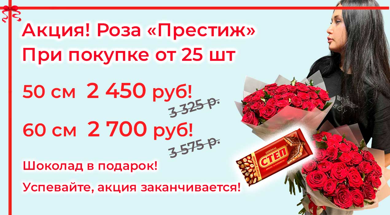 Акция 55 Роза Престиж 25 шт и шоколад в подарок
