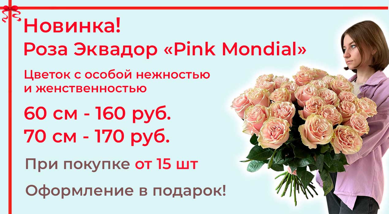 Акция 60 Роза Эквадор «Pink Mondial»