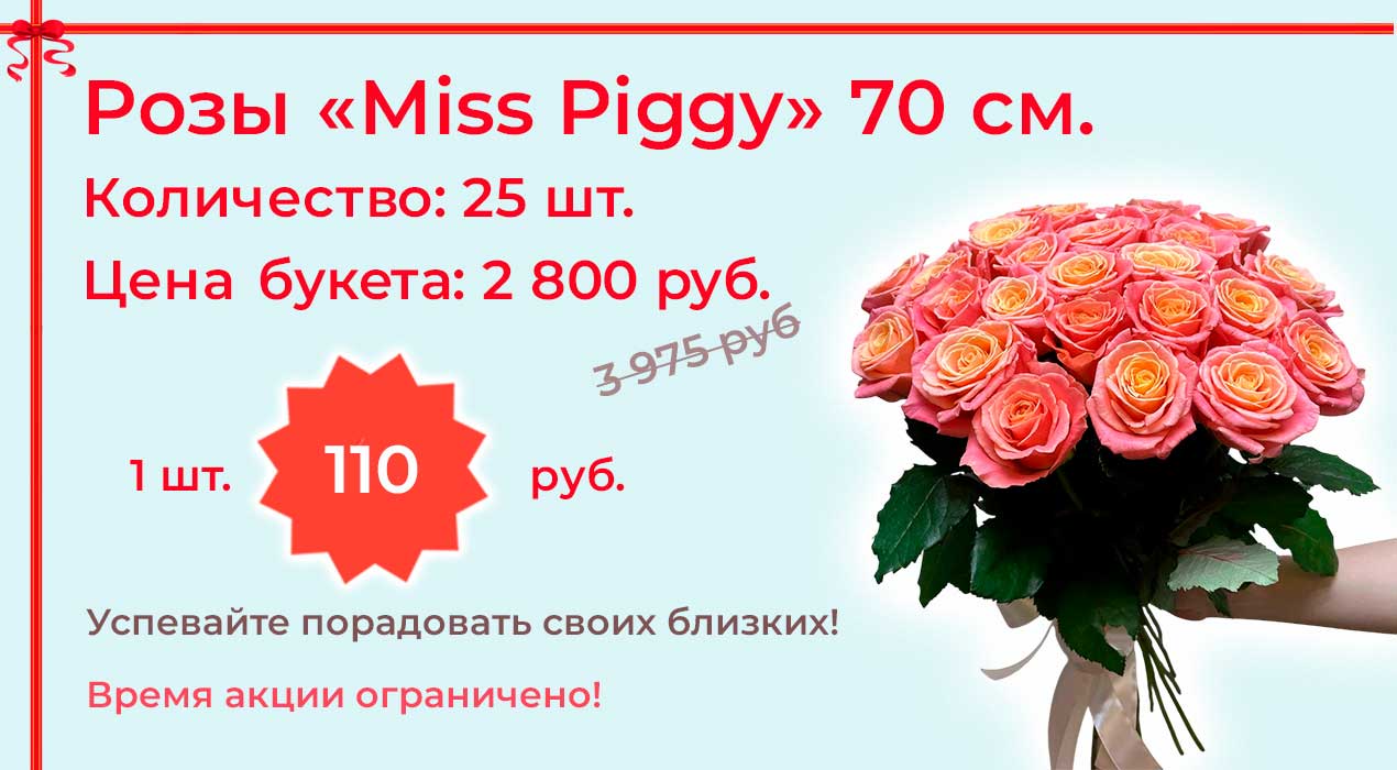 Акция 64 Розы Мисс Пигги от 25 шт