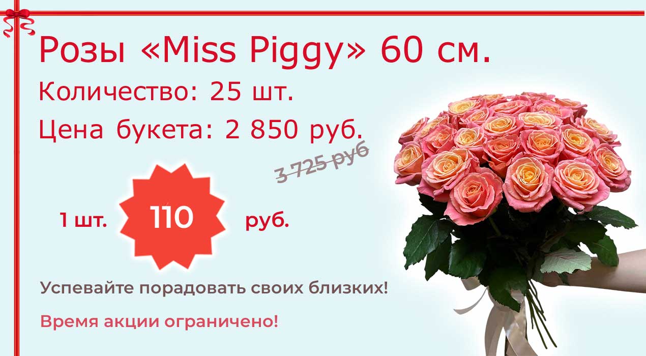 Акция 64 Розы Мисс Пигги от 25 шт