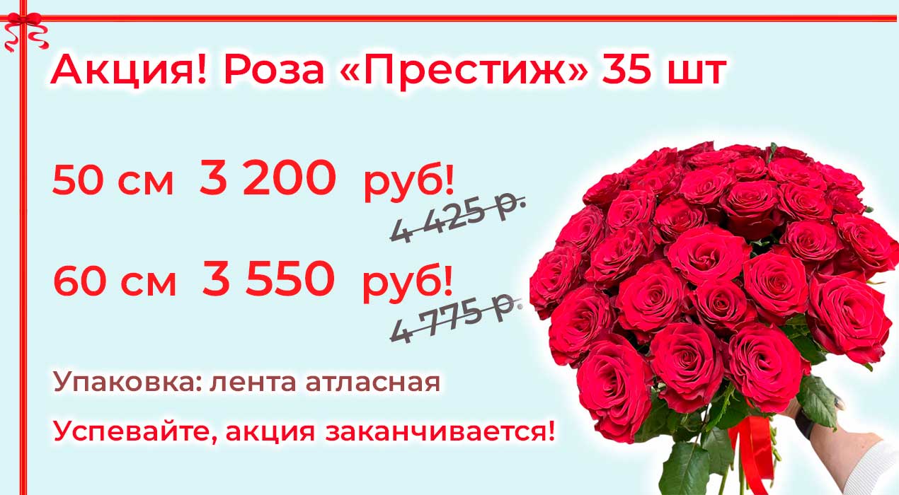 Акция 70 35 роз Престиж