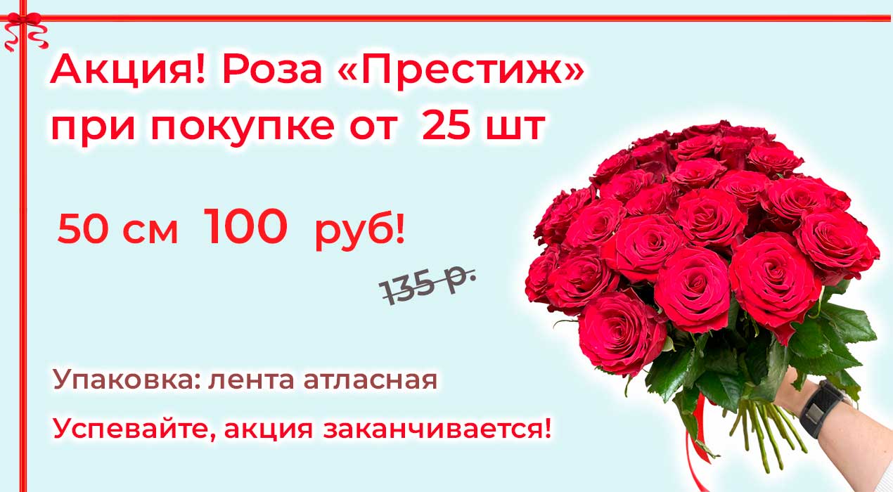 Акция 69 25 роз Престиж
