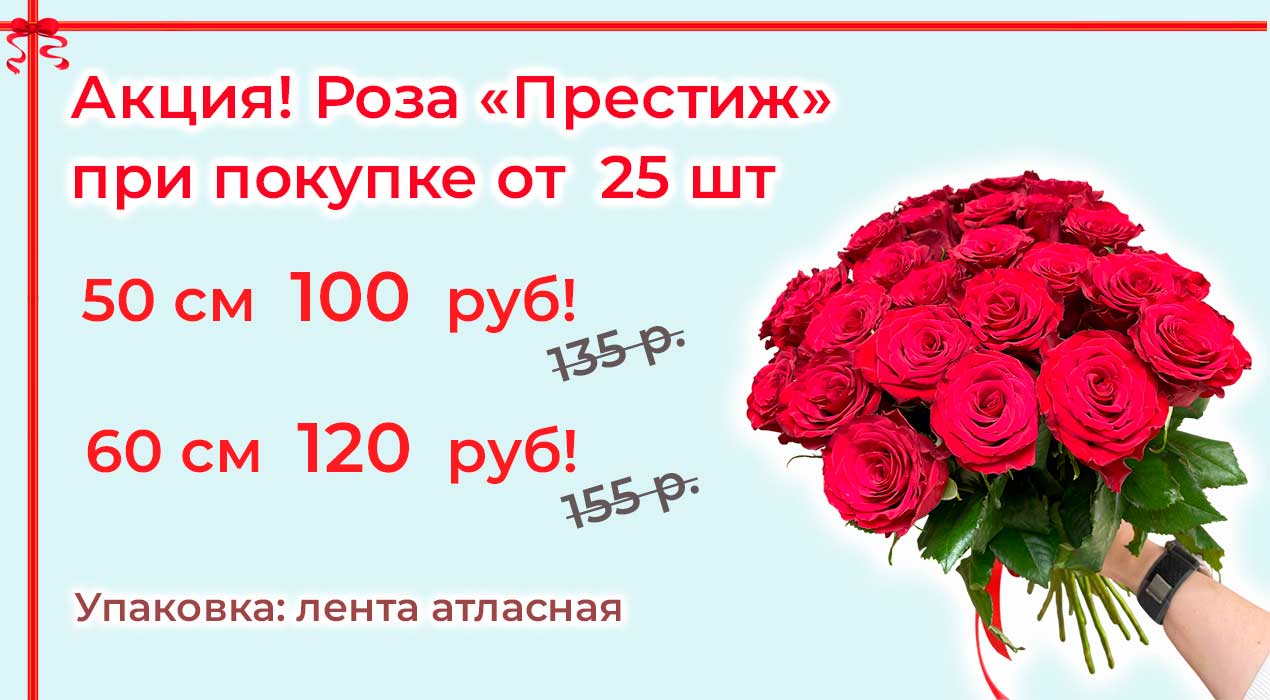 Акция 69 25 роз Престиж