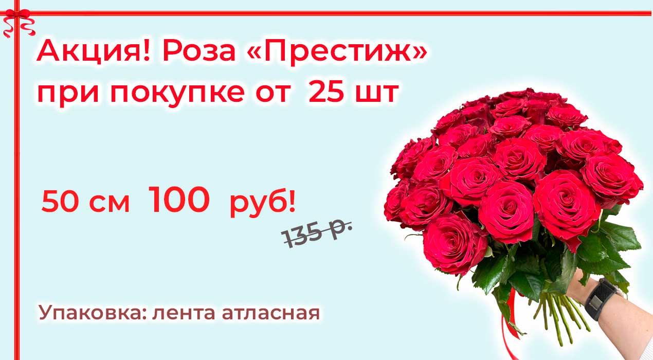 Акция 69 25 роз Престиж