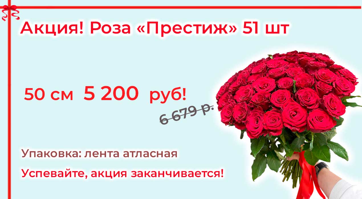 Акция 71 51 роза Престиж