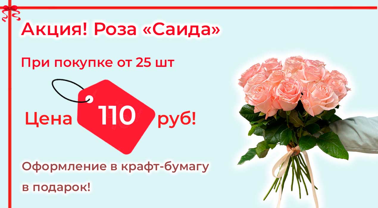 Акция 74 Роза  Саида при покупке от 25 шт