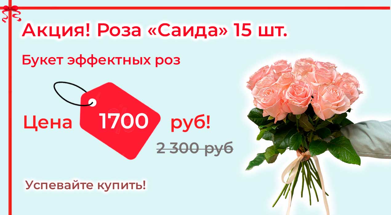 Акция 74 Роза  Саида 15 шт