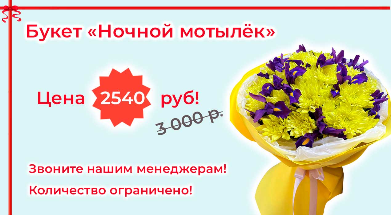 Акция 77 Ночной мотылек