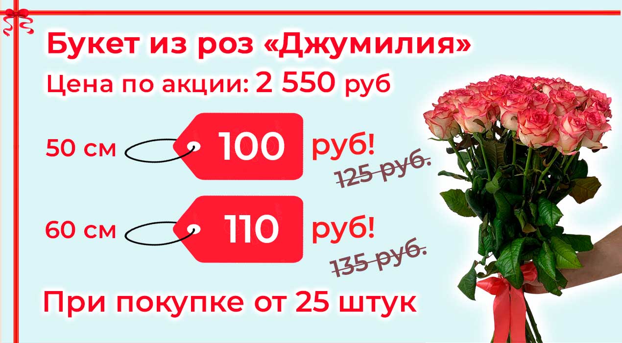 Акция 87 Роза Джумилия от 25 шт