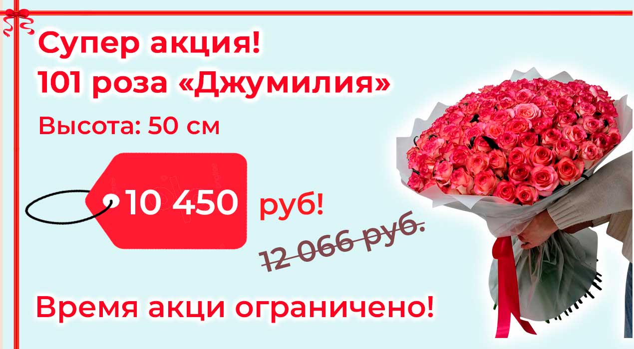 Акция 88 Роза Джумилия 101 шт.