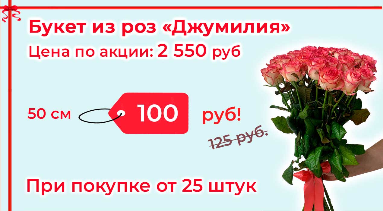 Акция 87 Роза Джумилия от 25 шт