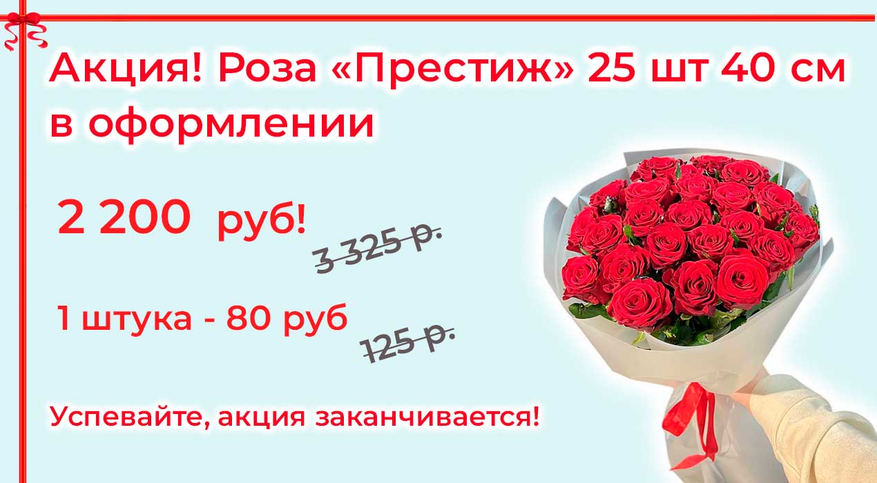 Акция 69-1 Роза престиж в оформлении 25 шт